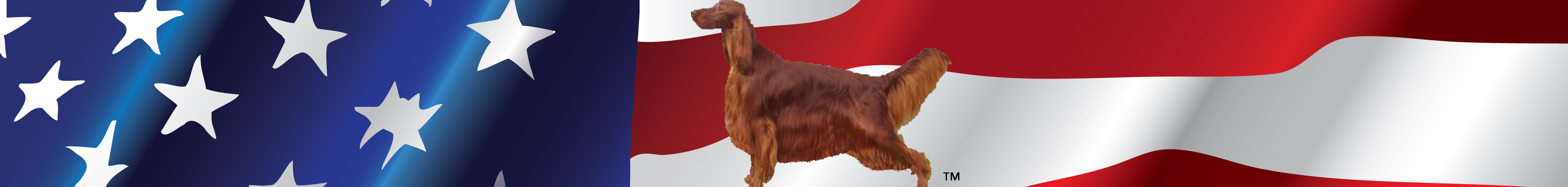 New.Flag.2016.10 edited 1